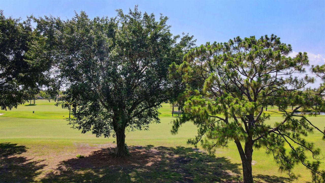 55-web-or-mls-Apartment air (17)