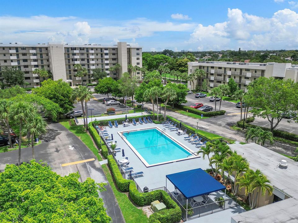 The Palms of Deer Creek Community Pool