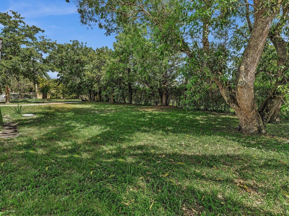 Yard