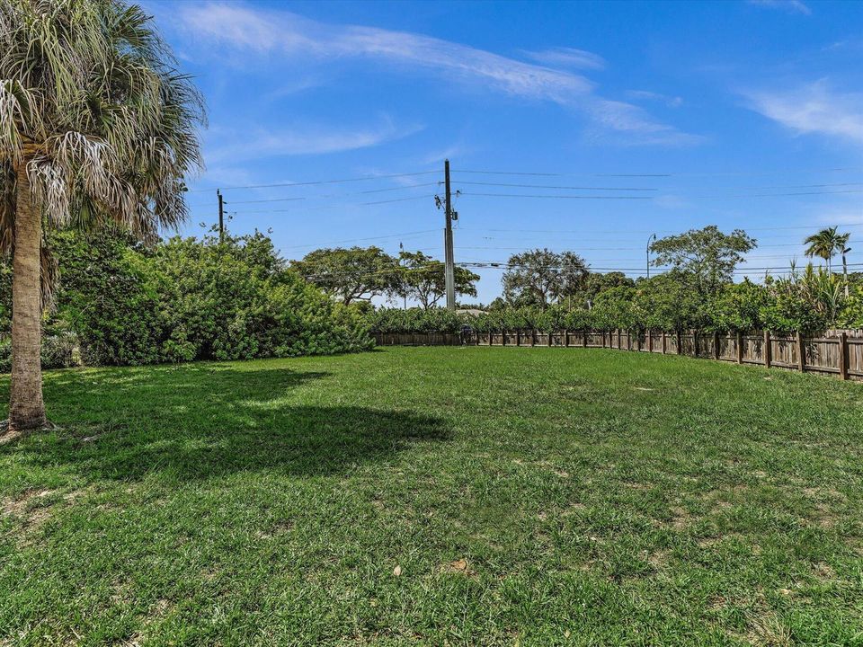 Yard