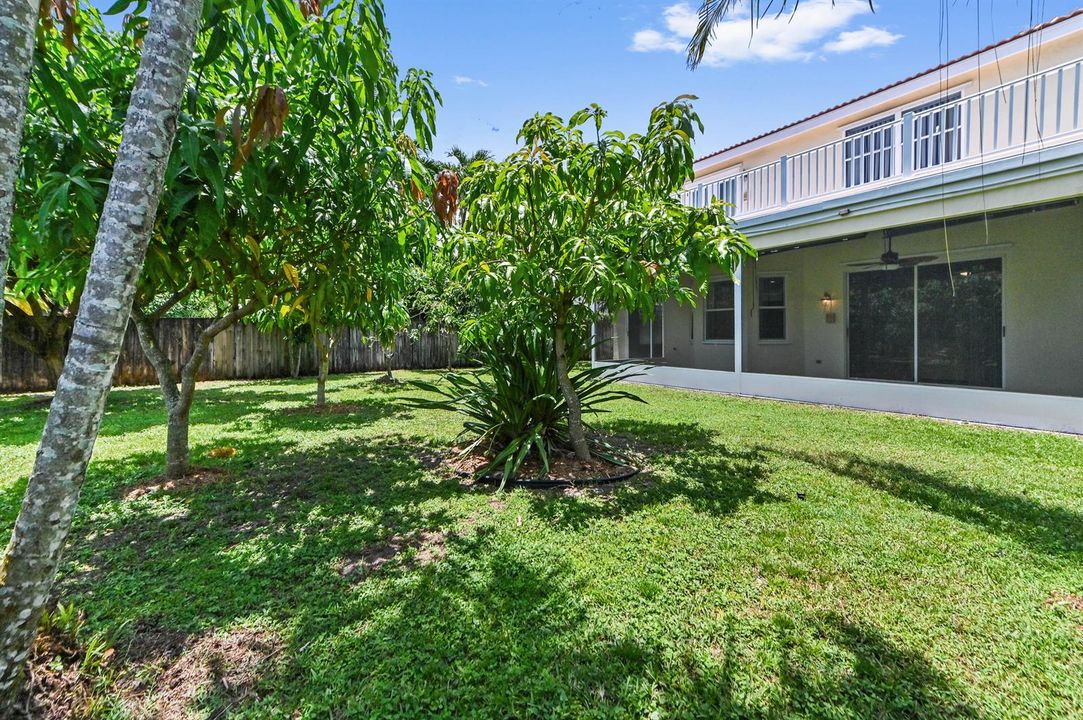 42 backyard 02