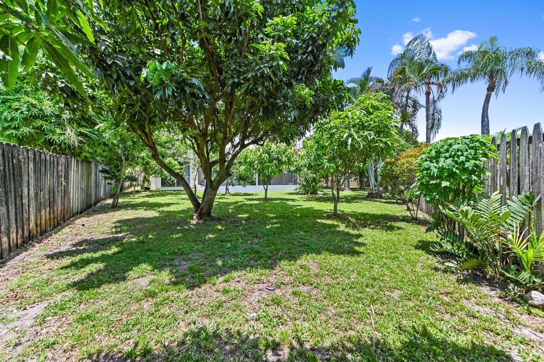 41 backyard 01