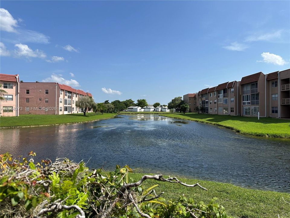 Community View