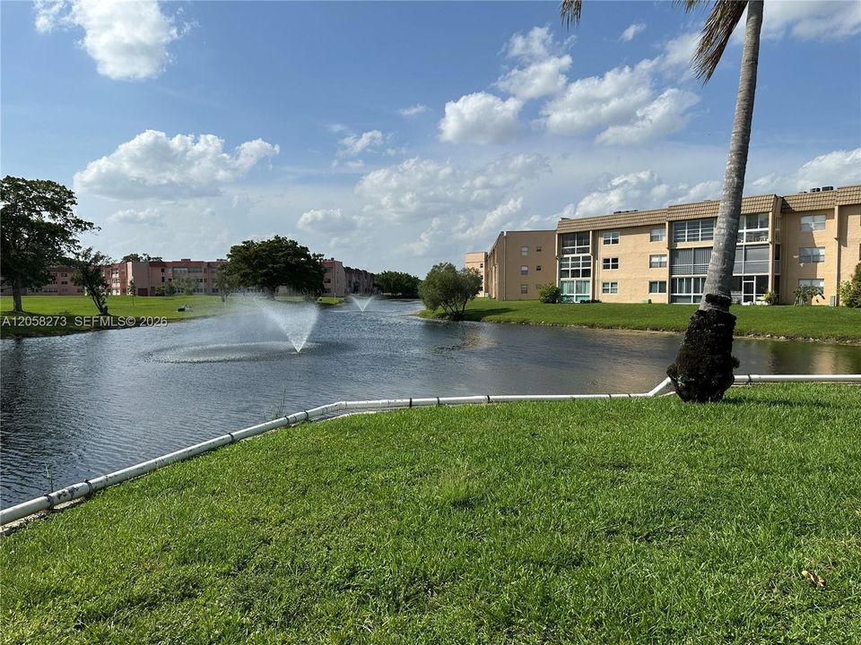 Community View