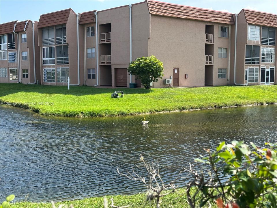 Community View