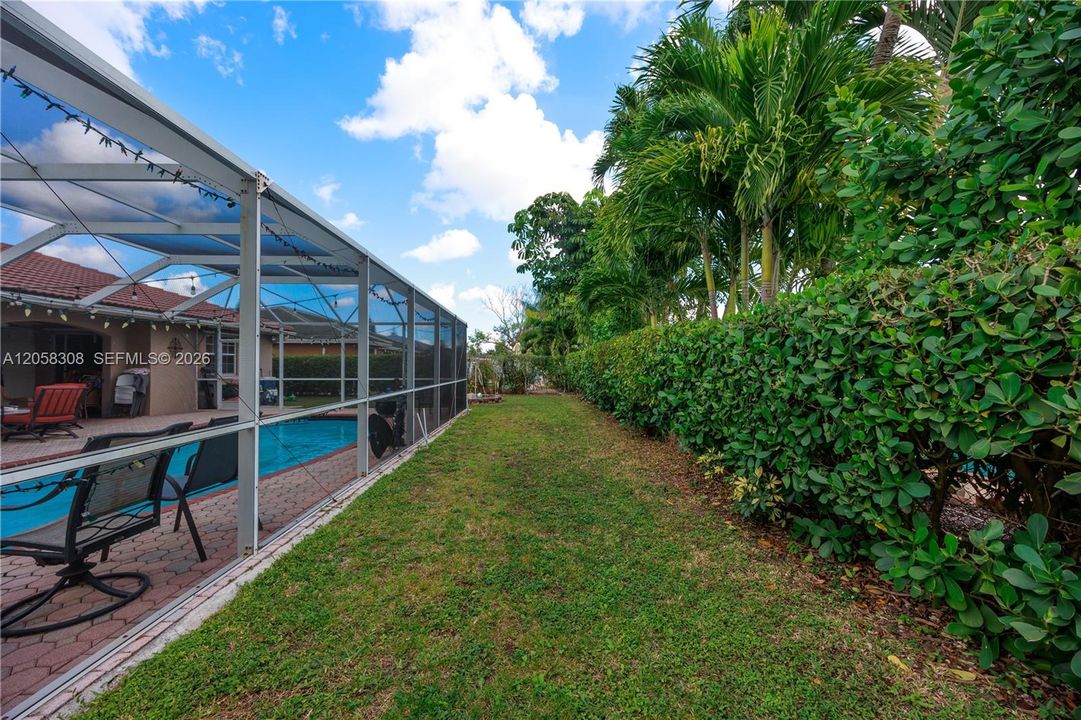 Backyard.
