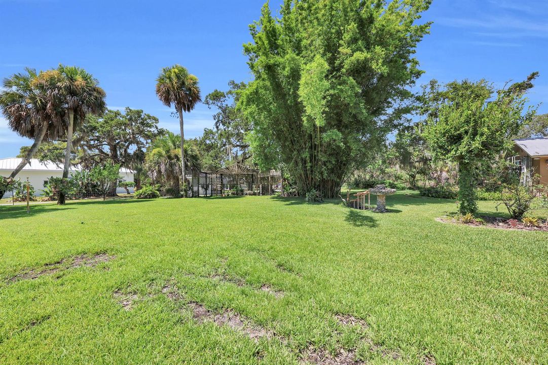 Exterior Rear Yard