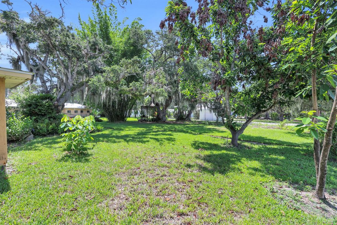 Exterior Rear Yard