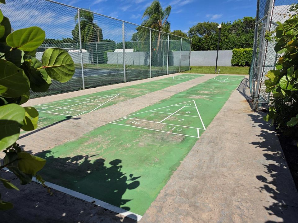 Shuffleboard Court