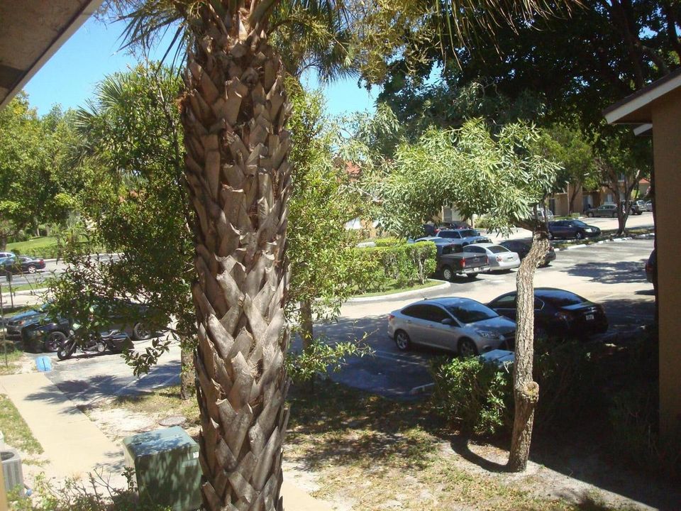 Parking Area