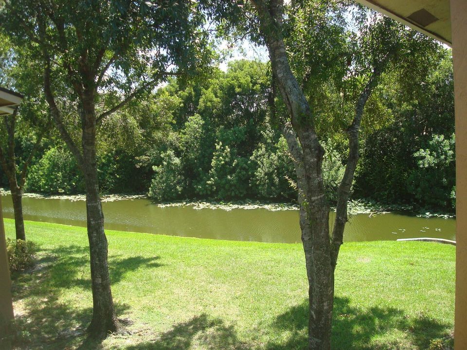 Canal View