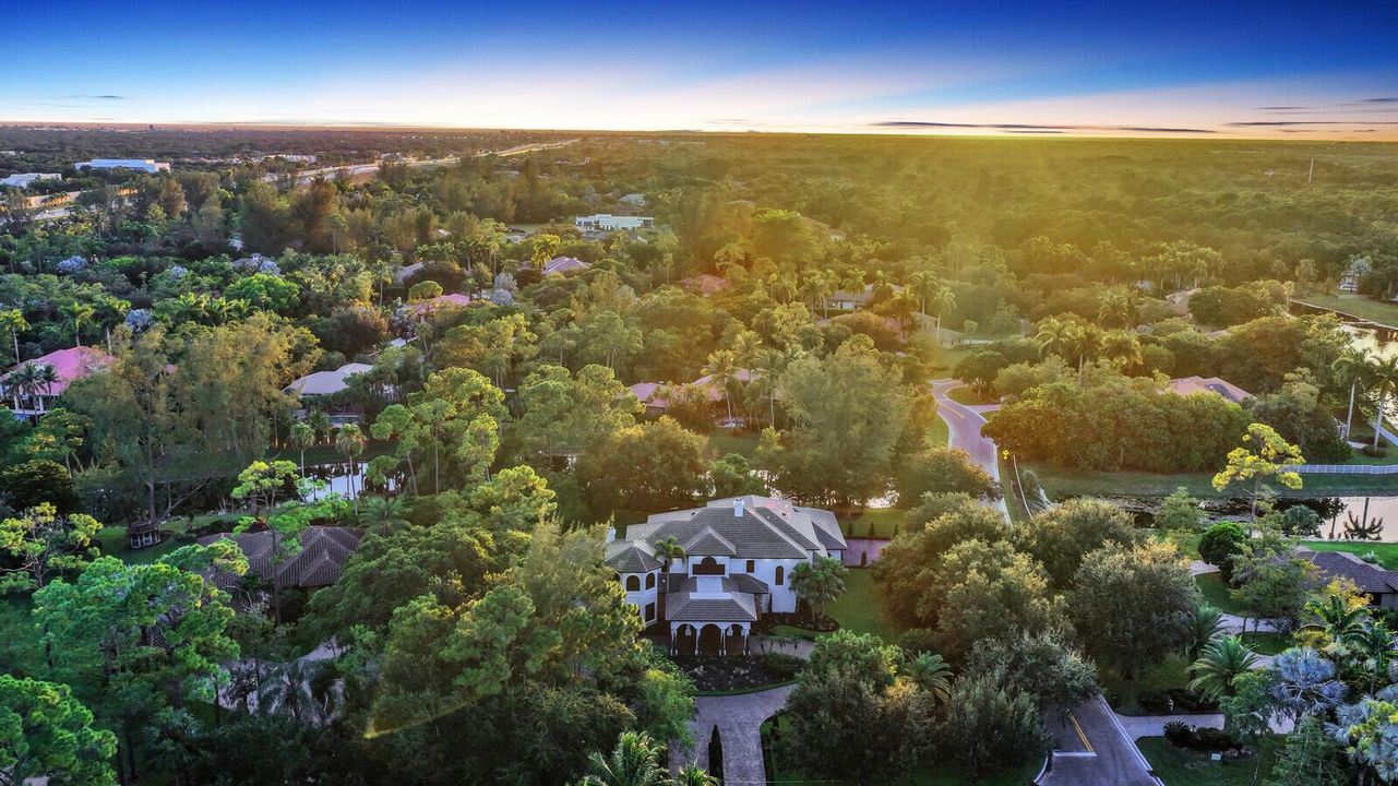 aerial