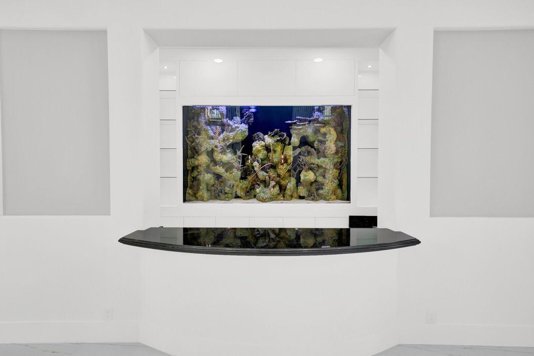 Salt Water Fish Tank