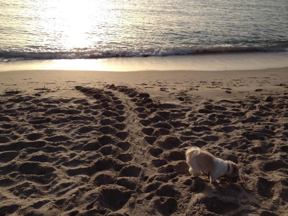 Jupiter Beach