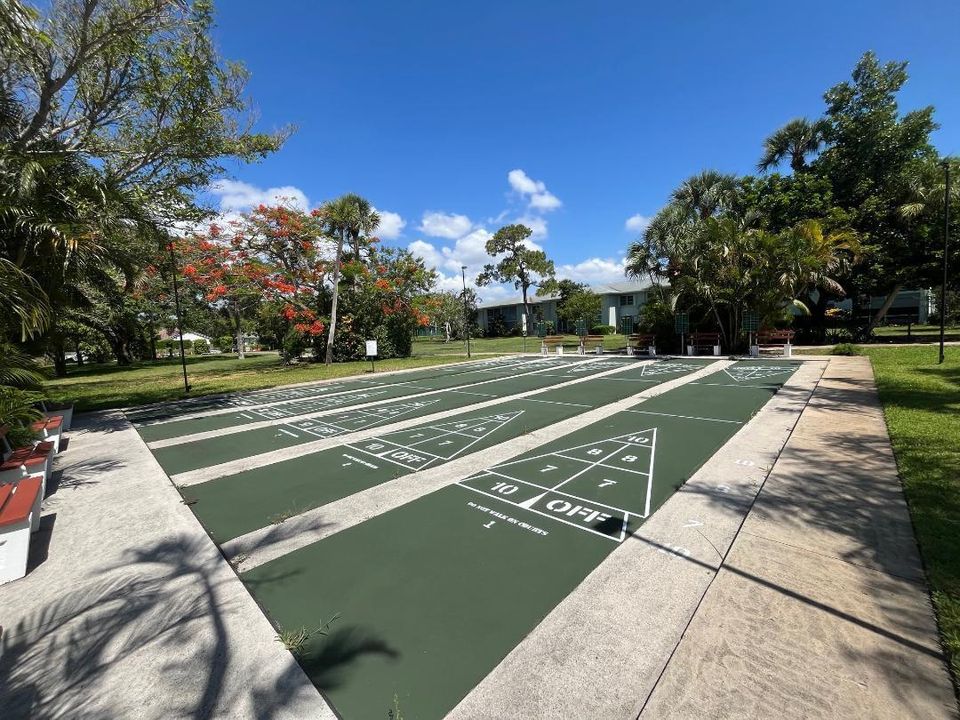 SPC newer Shuffleboard court