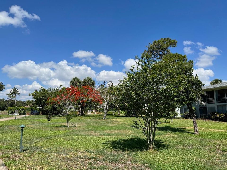 SPC Walking trail