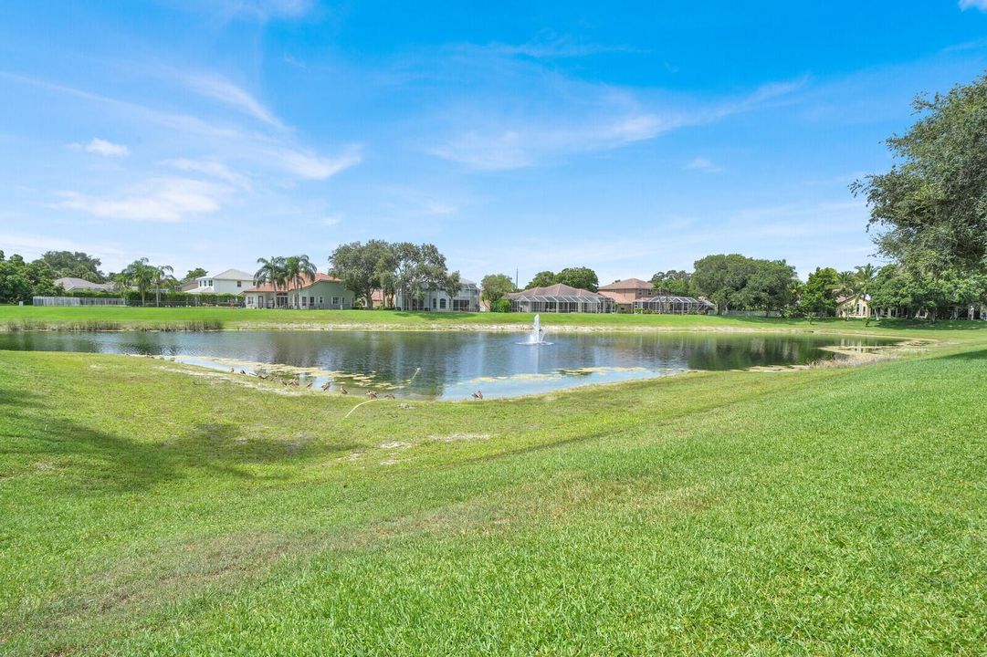 Lake View