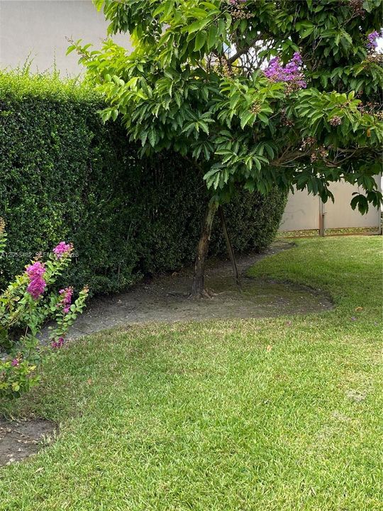 En Renta: $5,950 (5 camas, 4 baños, 3945 Pies cuadrados)
