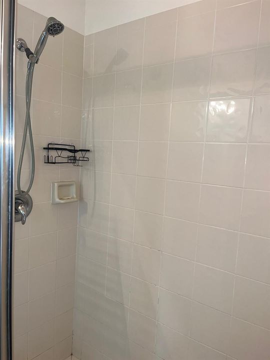 Master Bedroom Shower