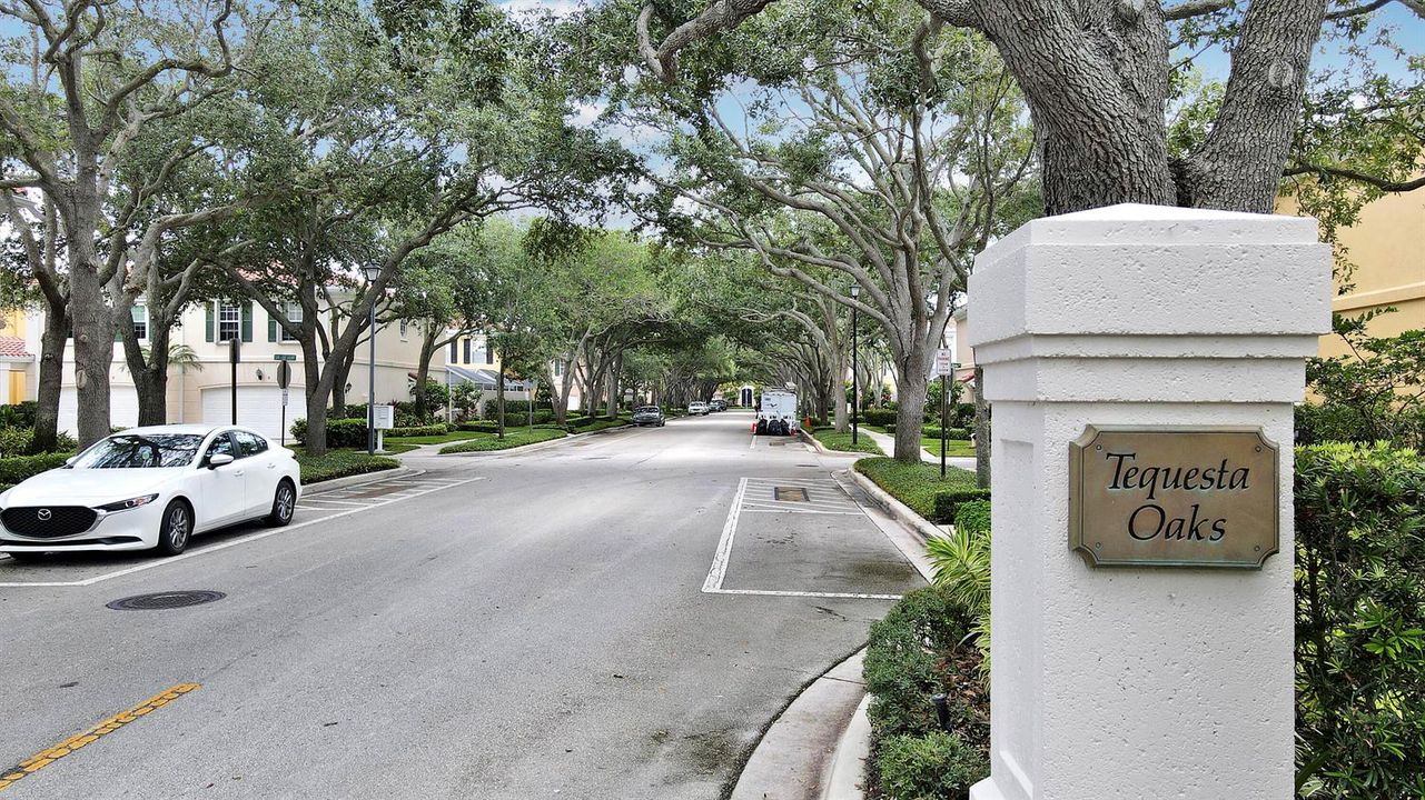 Shady Stree Lined Entry