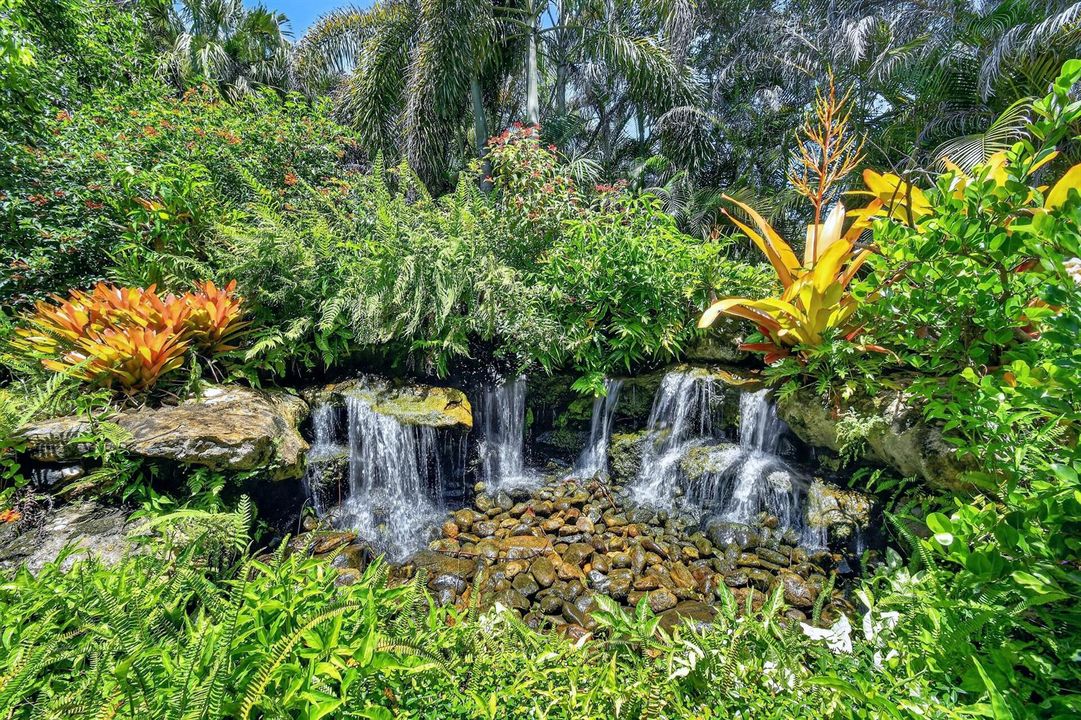 Waterfall Pond