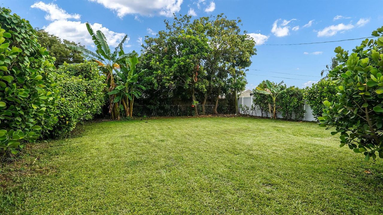 37-web-or-mls-DSC07016