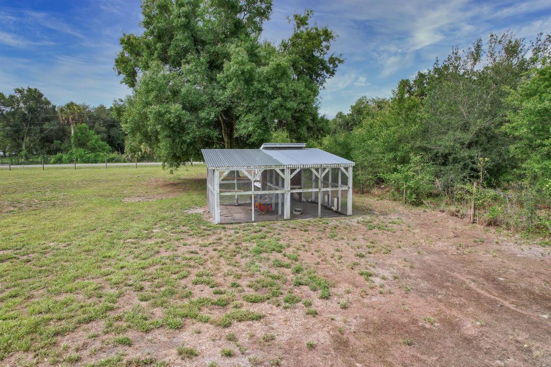 Chicken Coop