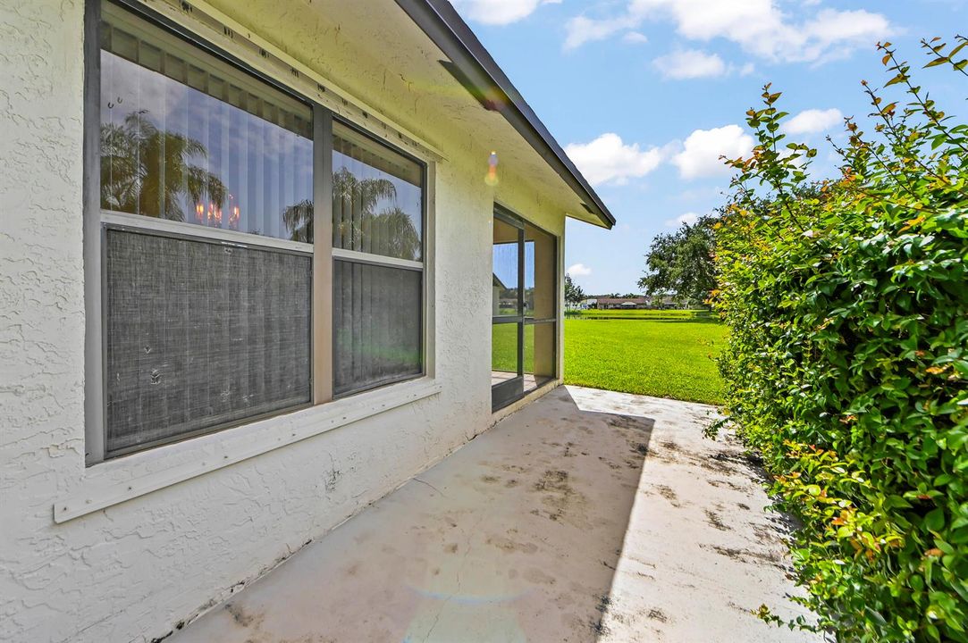 23 Backyard 01