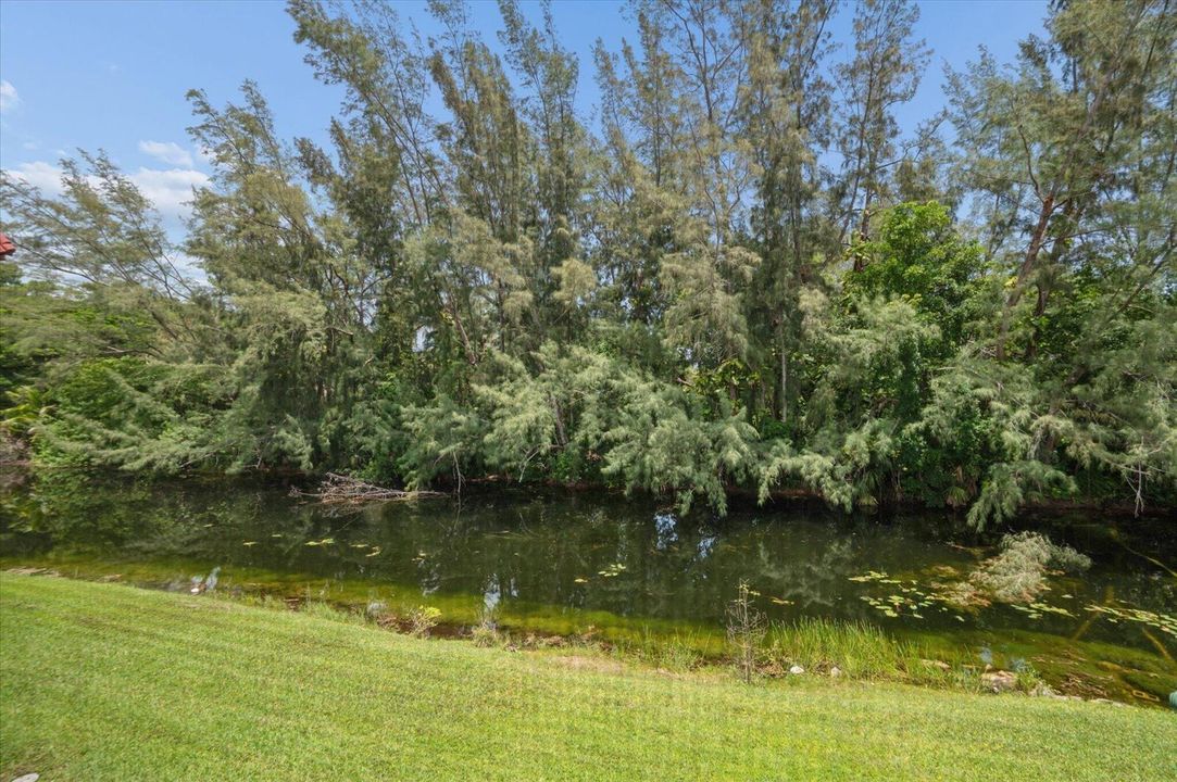 13-Borzillieri-473 Lake Francis Dr-13