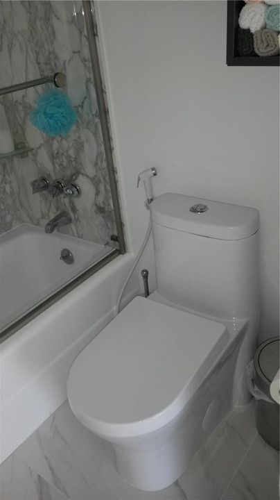 Main bathroom toilet & shower/tub