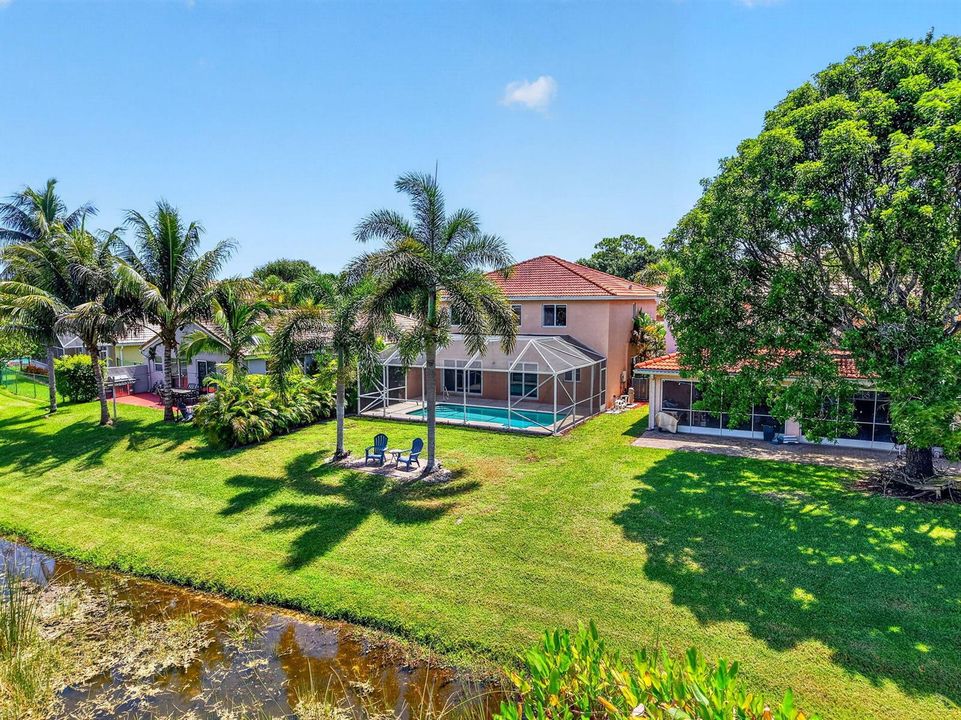Backyard View