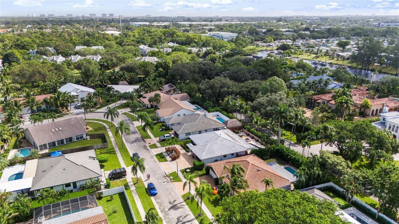 Aerial 7