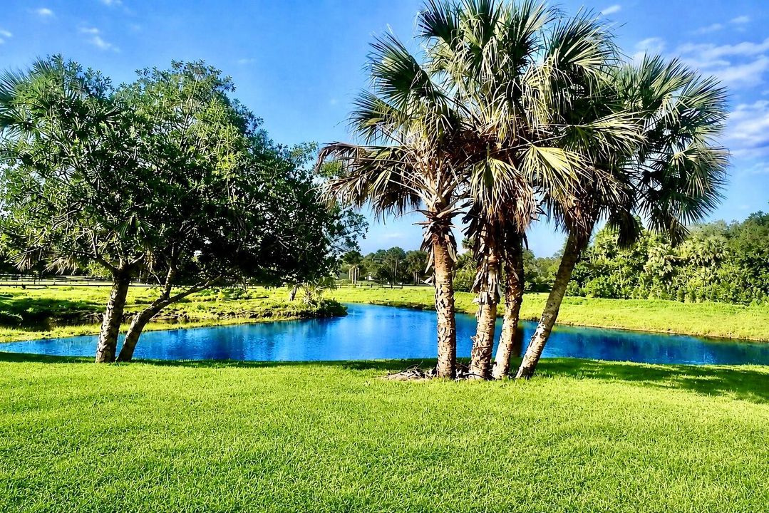 pond