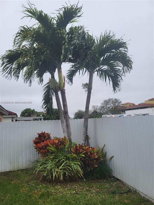 Active With Contract: $3,100 (3 beds, 2 baths, 1276 Square Feet)