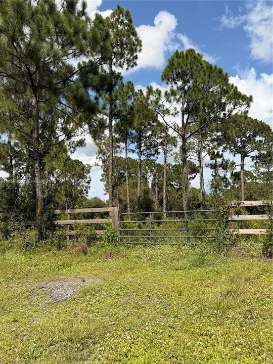 En Venta: $76,000 (1.25 acres)