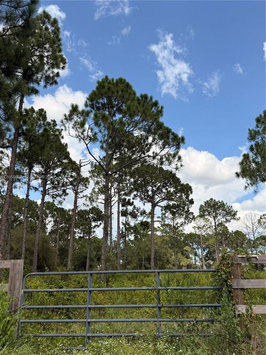 En Venta: $76,000 (1.25 acres)