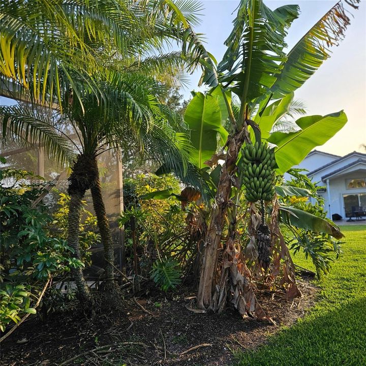 En Venta: $600,000 (3 camas, 2 baños, 2100 Pies cuadrados)