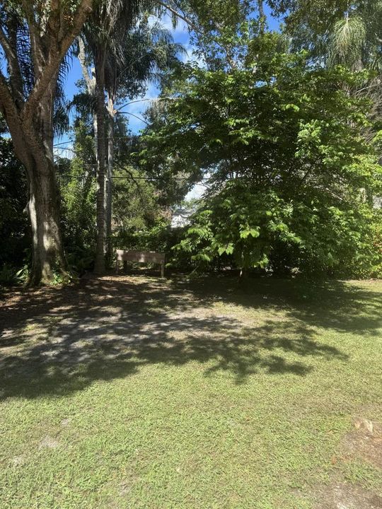 Yard
