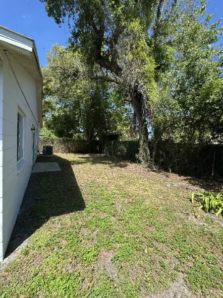 back yard 2