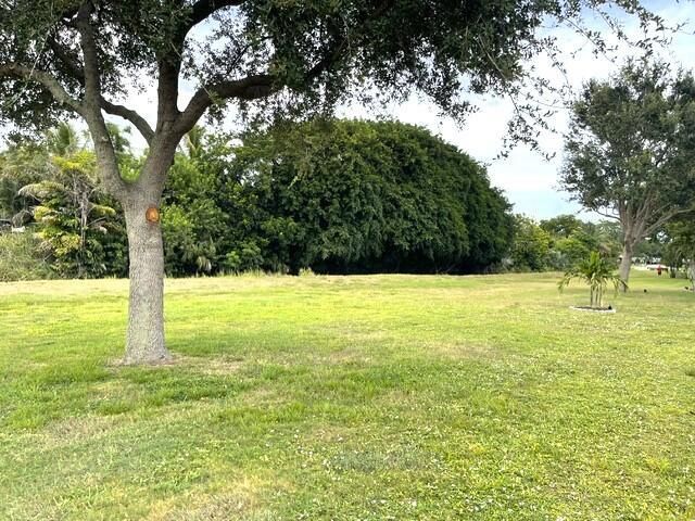 Back yard view