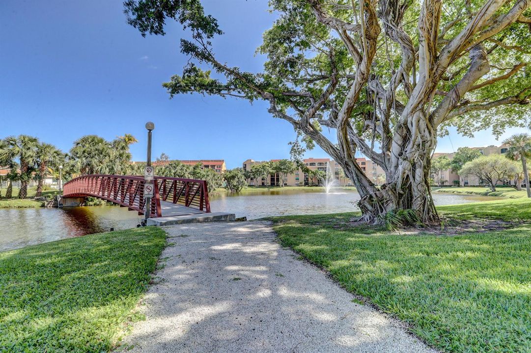 Walking Path
