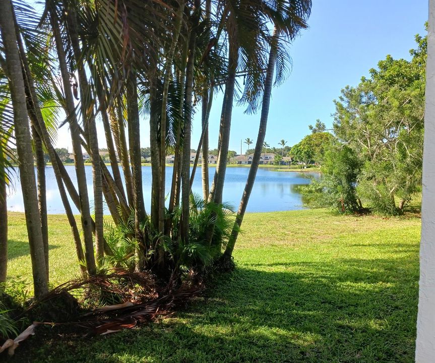 Lake view 2