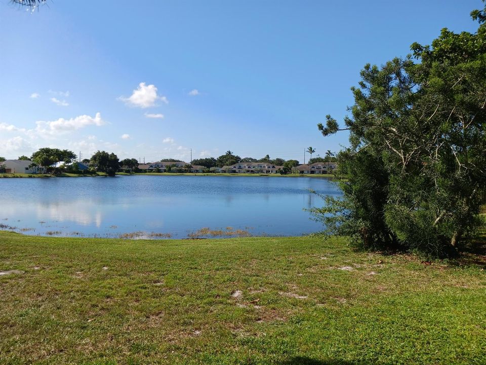 Lake view