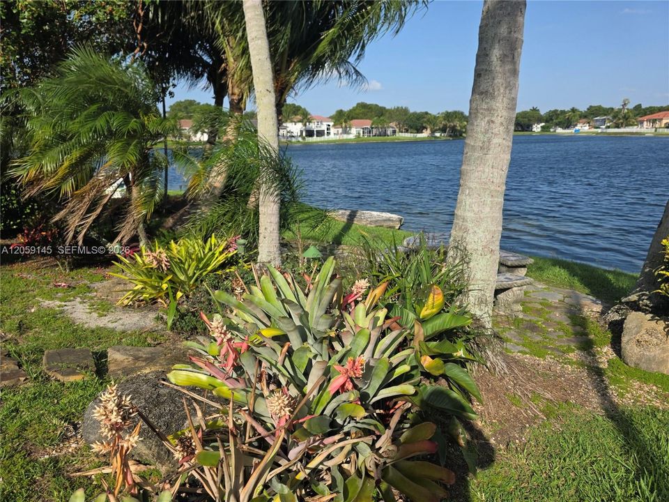 Back Yard and lake