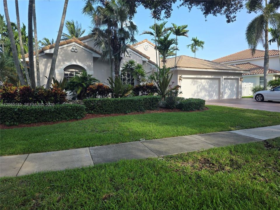 Front Lawn