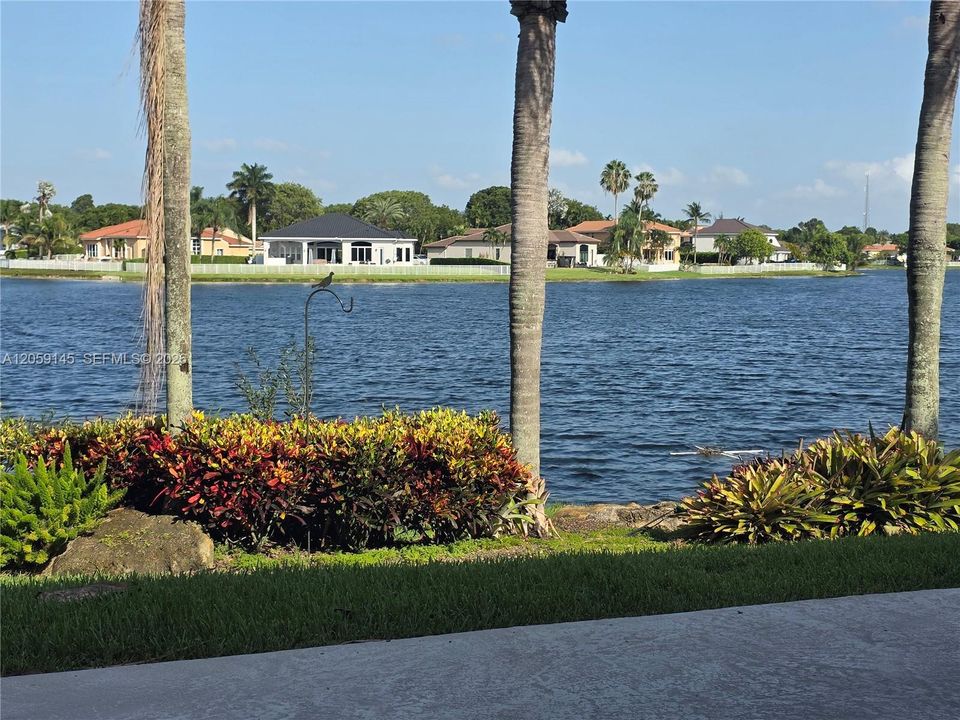 Back yard and lake