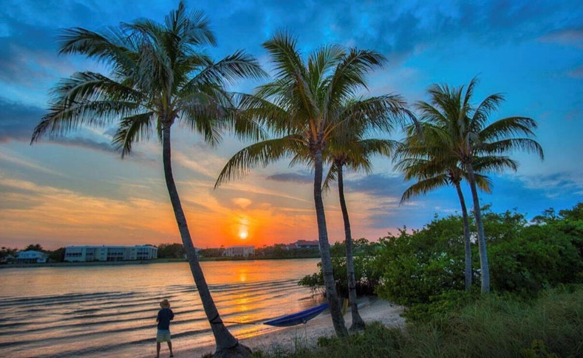 Sunsets