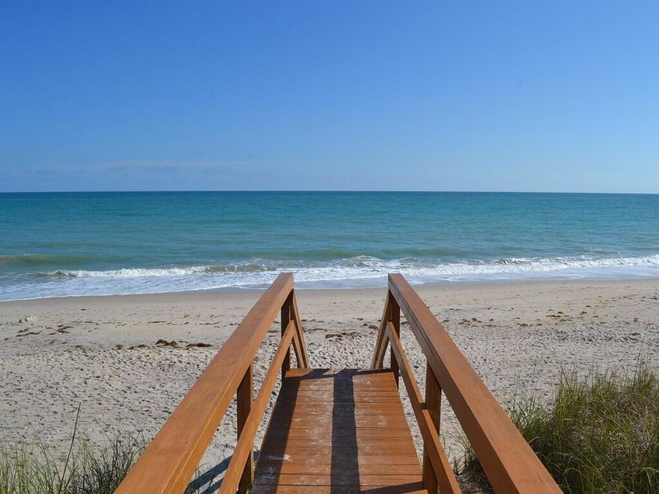 Local beach