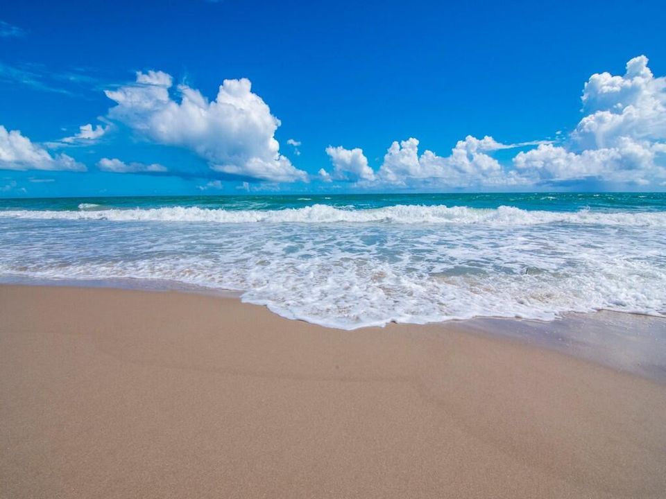 Local beach