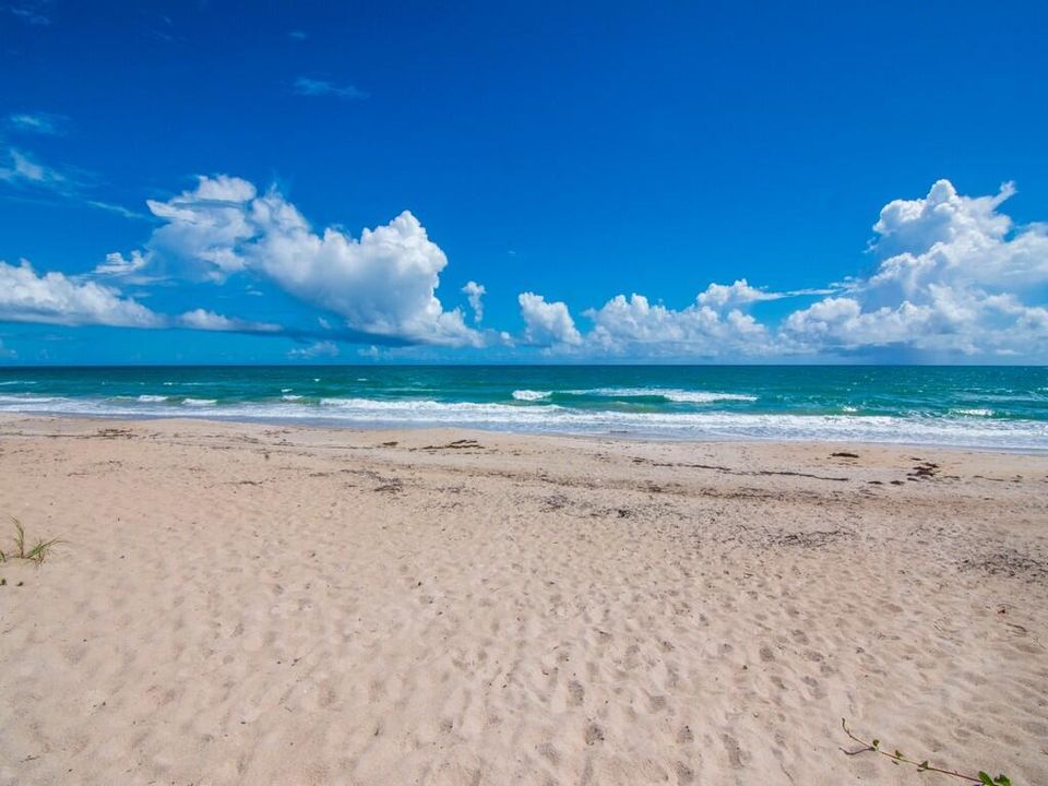 Local beach